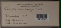 Image Associated With the Occurence